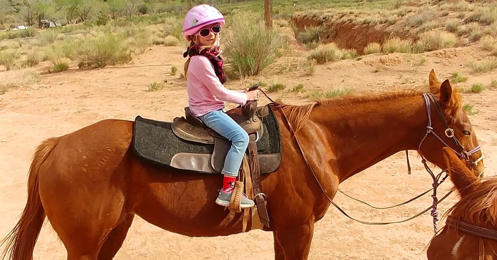 Taking children horseback riding